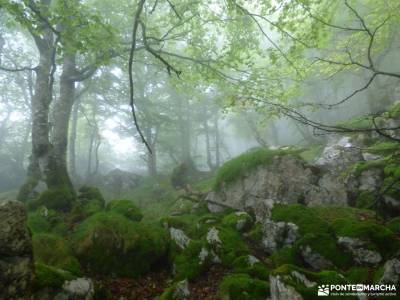 Urbasa-Andía;Aizkorri-Aratz;Aralar; singles de madrid ruta romanico palencia excursiones por almeri